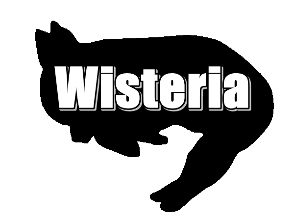 中高年でもわかるgafamとは Gafaとの違いは 米国経済