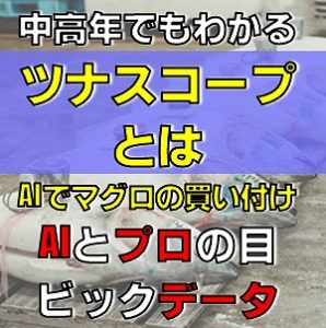 中高年でもわかるマグロの品質をaiで ツナスコープ とは